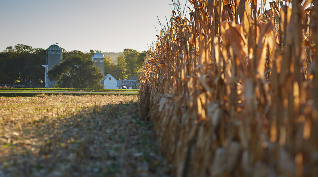 Hormel Foods Awards First International Winner for its Environmental ...